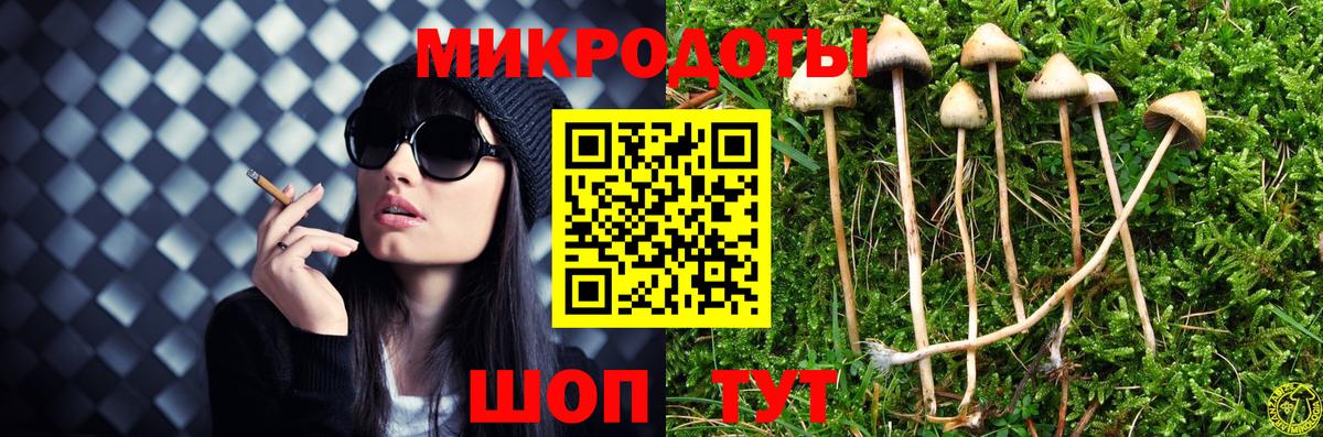 Псилоцибиновые грибы ЛСД  Вход с VPN  Кингисепп  Галлюциногенные грибы GOLDEN TEACHER 